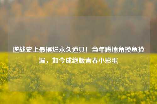 逆战史上最摆烂永久道具！当年蹲墙角摸鱼捡漏，如今成绝版青春小彩蛋