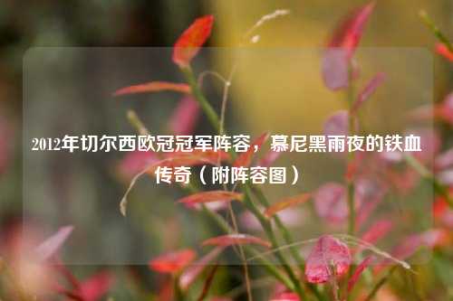 2012年切尔西欧冠冠军阵容，慕尼黑雨夜的铁血传奇（附阵容图）