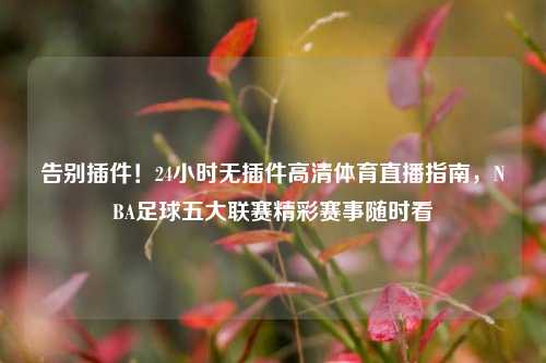 告别插件！24小时无插件高清体育直播指南，NBA足球五大联赛精彩赛事随时看