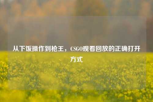 从下饭操作到枪王，CSGO观看回放的正确打开方式