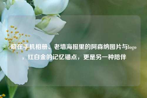 藏在手机相册、老墙海报里的阿森纳图片与logo，红白金的记忆锚点，更是另一种陪伴