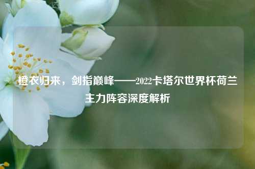 橙衣归来，剑指巅峰——2022卡塔尔世界杯荷兰主力阵容深度解析