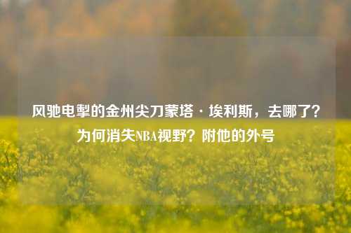风驰电掣的金州尖刀蒙塔·埃利斯,去哪了?为何消失NBA视野?附他的外号