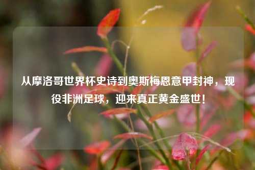 从摩洛哥世界杯史诗到奥斯梅恩意甲封神,现役非洲足球,迎来真正黄金盛世!