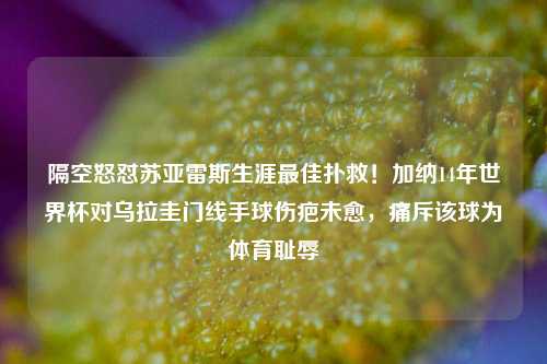隔空怒怼苏亚雷斯生涯更佳扑救!加纳14年世界杯对乌拉圭门线手球伤疤未愈,痛斥该球为体育耻辱