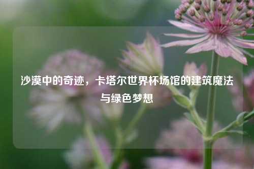 沙漠中的奇迹,卡塔尔世界杯场馆的建筑魔法与绿色梦想