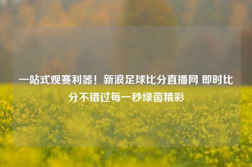 一站式观赛利器!新浪足球比分直播网 即时比分不错过每一秒绿茵精彩