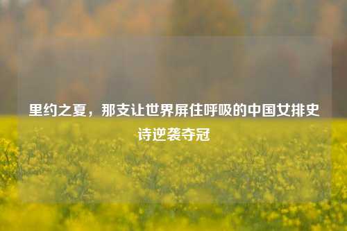 里约之夏,那支让世界屏住呼吸的中国女排史诗逆袭夺冠