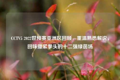 CCTV5 2022世预赛亚洲区回顾,重温熟悉解说,回味攥紧拳头的十二强绿茵场