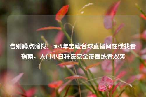 告别蹲点瞎找!202X年宝藏台球直播间在线找看指南,入门小白杆法党全覆盖练看双爽