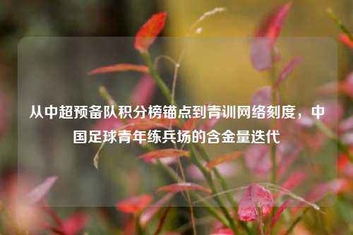 从中超预备队积分榜锚点到青训 *** 刻度,中国足球青年练兵场的含金量迭代