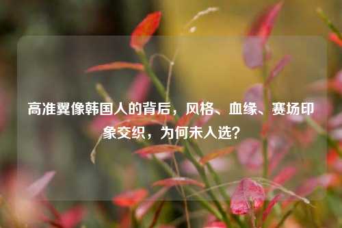 高准翼像韩国人的背后,风格、血缘、赛场印象交织,为何未入选?