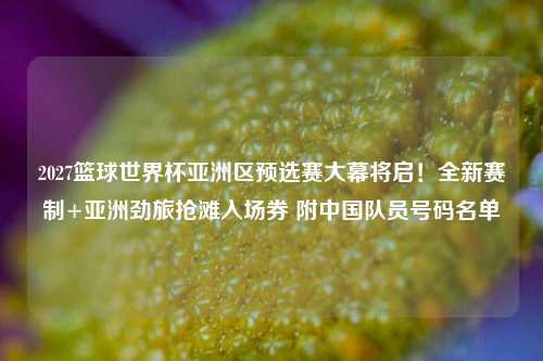2027篮球世界杯亚洲区预选赛大幕将启!全新赛制+亚洲劲旅抢滩入场券 附中国队员号码名单