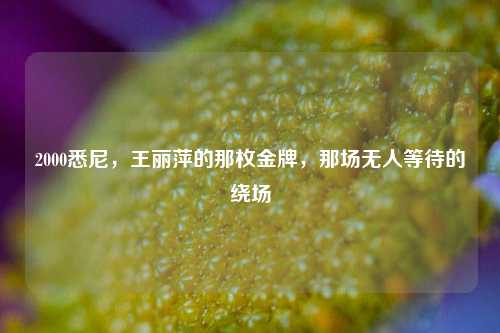 2000悉尼,王丽萍的那枚金牌,那场无人等待的绕场