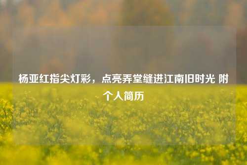 杨亚红指尖灯彩,点亮弄堂缝进江南旧时光 附个人简历