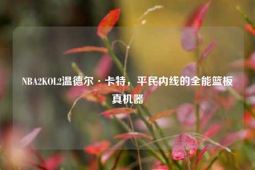 NBA2KOL2温德尔·卡特,平民内线的全能篮板真机器