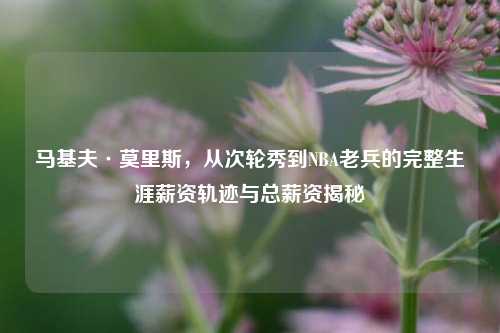 马基夫·莫里斯,从次轮秀到NBA老兵的完整生涯薪资轨迹与总薪资揭秘