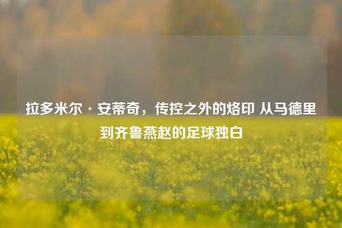 拉多米尔·安蒂奇,传控之外的烙印 从马德里到齐鲁燕赵的足球独白