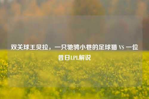 双关球王贝拉,一只驰骋小巷的足球猫 VS 一位昔日LPL解说