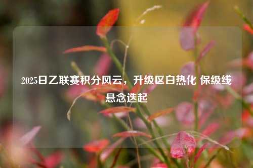 2025日乙联赛积分风云,升级区白热化 保级线悬念迭起