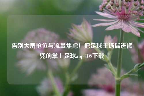 告别大屏抢位与流量焦虑!把足球主场揣进裤兜的掌上足球app iOS下载