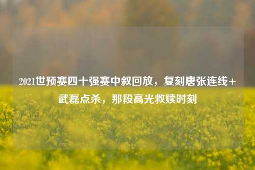 2021世预赛四十强赛中叙回放,复刻唐张连线+武磊点杀,那段高光救赎时刻