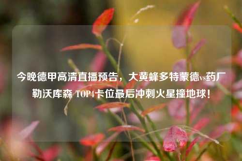 今晚德甲高清直播预告,大黄蜂多特蒙德vs药厂勒沃库森 TOP4卡位最后冲刺火星撞地球!