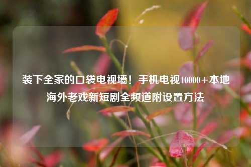 装下全家的口袋电视墙!手机电视10000+本地海外老戏新短剧全频道附设置 ***
