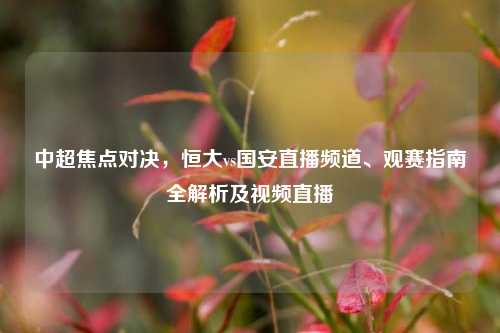 中超焦点对决,恒大vs国安直播频道、观赛指南全解析及视频直播