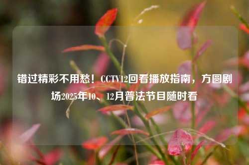 错过精彩不用愁!CCTV12回看播放指南,方圆剧场2025年10、12月普法节目随时看
