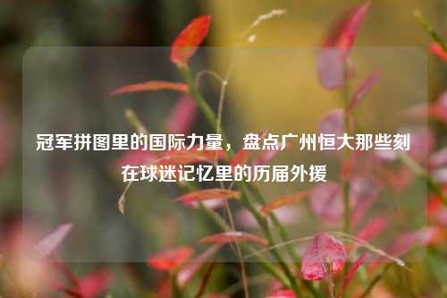 冠军拼图里的国际力量,盘点广州恒大那些刻在球迷记忆里的历届外援