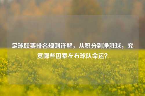 足球联赛排名规则详解,从积分到净胜球,究竟哪些因素左右球队命运?