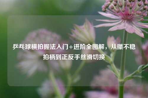 乒乓球横拍握法入门+进阶全图解,从攥不稳拍柄到正反手丝滑切换