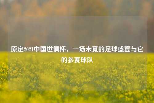 原定2021中国世俱杯,一场未竟的足球盛宴与它的参赛球队