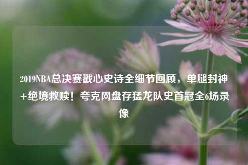 2019NBA总决赛戳心史诗全细节回顾,单腿封神+绝境救赎!夸克网盘存猛龙队史首冠全6场录像