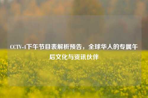 CCTV-4下午节目表解析预告,全球华人的专属午后文化与资讯伙伴