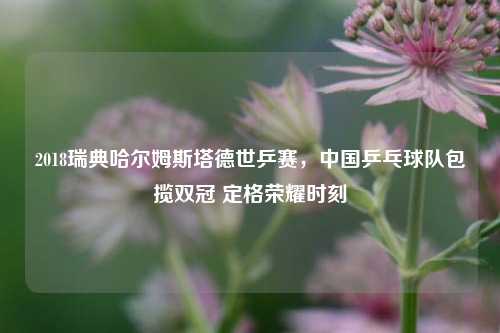 2018瑞典哈尔姆斯塔德世乒赛,中国乒乓球队包揽双冠 定格荣耀时刻