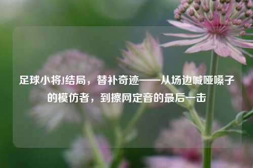 足球小将J结局,替补奇迹——从场边喊哑嗓子的模仿者,到擦网定音的最后一击