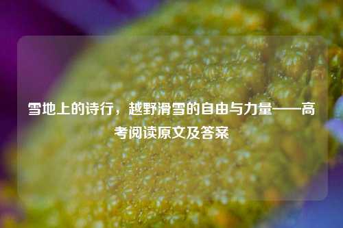 雪地上的诗行,越野滑雪的自由与力量——高考阅读原文及答案