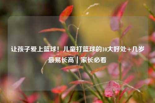 让孩子爱上篮球!儿童打篮球的10大好处+几岁最易长高|家长必看