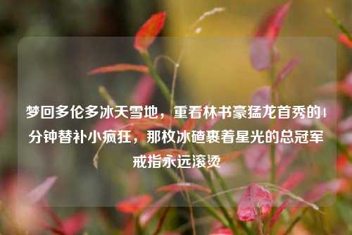 梦回多伦多冰天雪地,重看林书豪猛龙首秀的4分钟替补小疯狂,那枚冰碴裹着星光的总冠军戒指永远滚烫