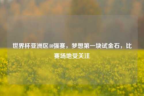 世界杯亚洲区40强赛,梦想之一块试金石,比赛场地受关注