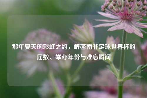那年夏天的彩虹之约,解密南非足球世界杯的届数、举办年份与难忘瞬间