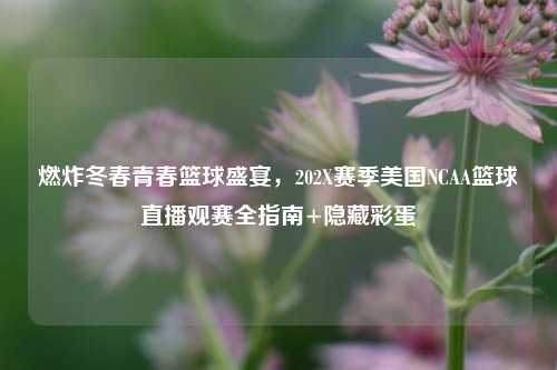 燃炸冬春青春篮球盛宴,202X赛季美国NCAA篮球直播观赛全指南+隐藏彩蛋
