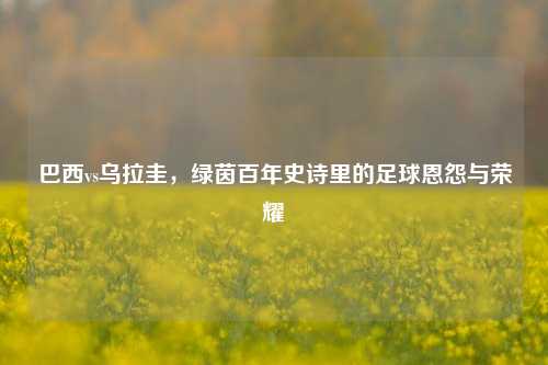 巴西vs乌拉圭,绿茵百年史诗里的足球恩怨与荣耀