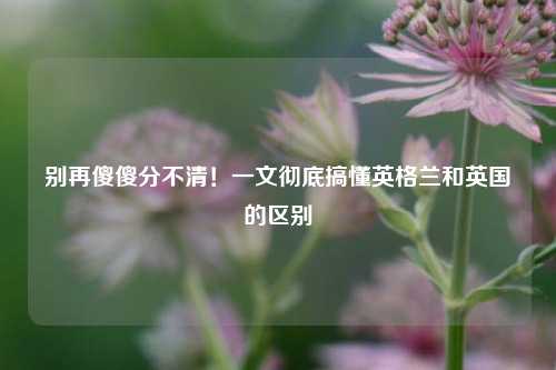别再傻傻分不清!一文彻底搞懂英格兰和英国的区别