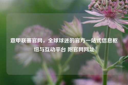 意甲联赛官网,全球球迷的官方一站式信息枢纽与互动平台 附官网网址