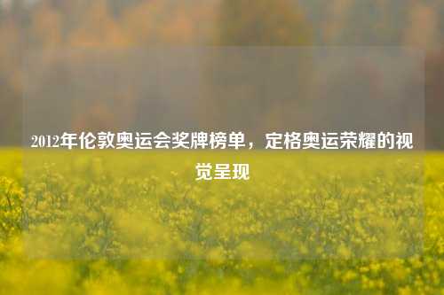 2012年伦敦奥运会奖牌榜单,定格奥运荣耀的视觉呈现