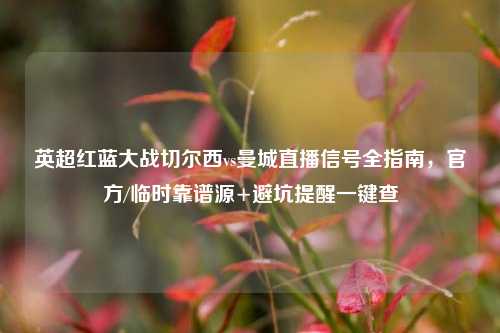 英超红蓝大战切尔西vs曼城直播信号全指南,官方/临时靠谱源+避坑提醒一键查