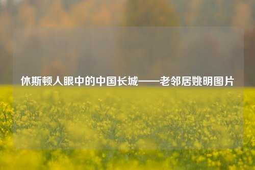 休斯顿人眼中的中国长城——老邻居姚明图片